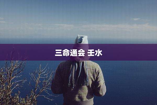 三命通会 壬水