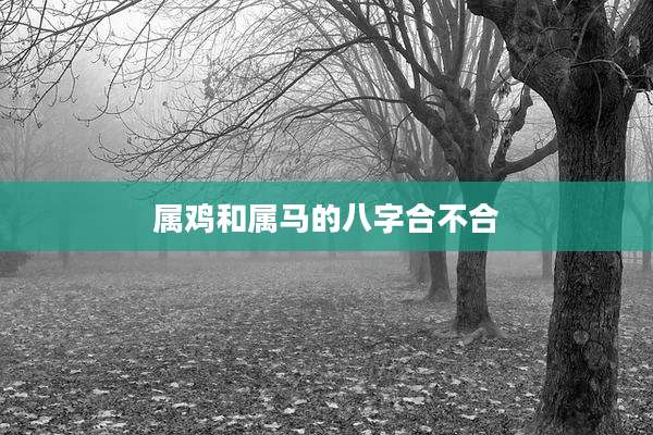 属鸡和属马的八字合不合