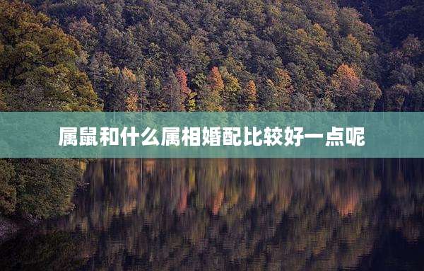 属鼠和什么属相婚配比较好一点呢