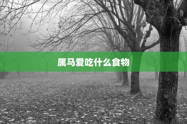 属马爱吃什么食物