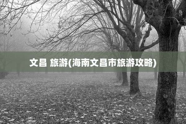 文昌 旅游(海南文昌市旅游攻略)