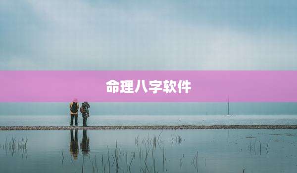 命理八字软件