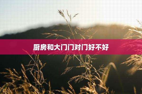 厨房和大门门对门好不好
