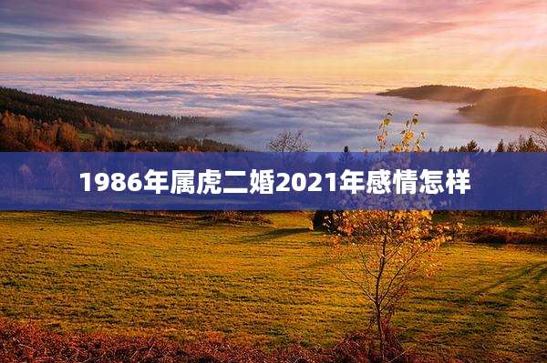 1986年属虎二婚2021年感情怎样