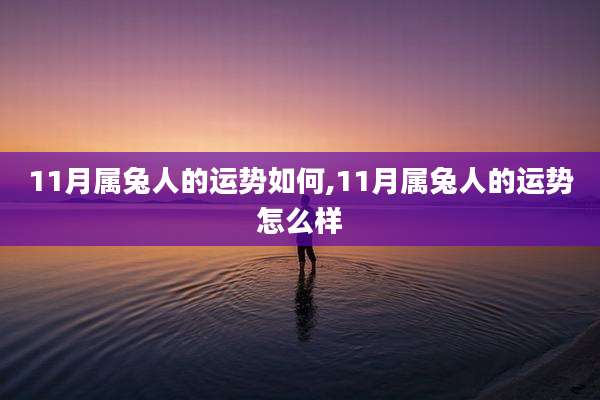 11月属兔人的运势如何,11月属兔人的运势怎么样