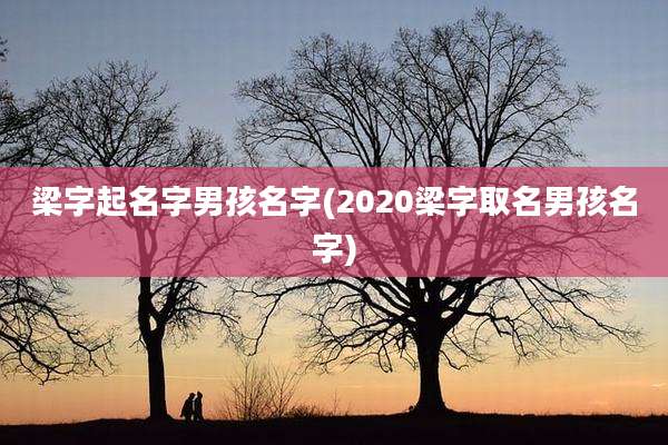 梁字起名字男孩名字(2020梁字取名男孩名字)