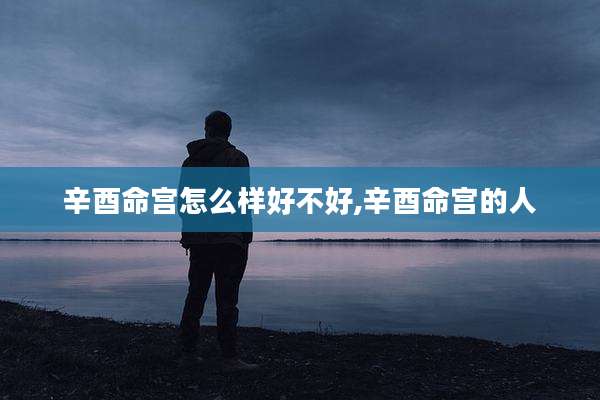 辛酉命宫怎么样好不好,辛酉命宫的人