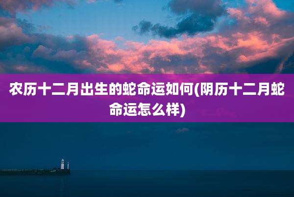 农历十二月出生的蛇命运如何(阴历十二月蛇命运怎么样)