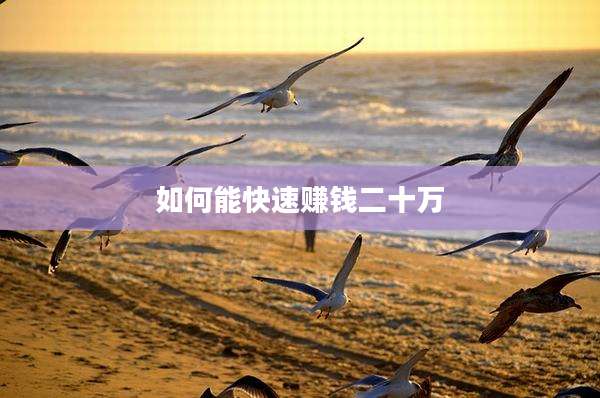 如何能快速赚钱二十万
