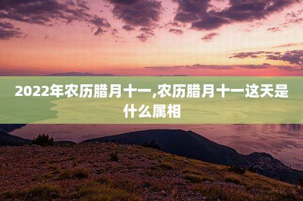 2022年农历腊月十一,农历腊月十一这天是什么属相