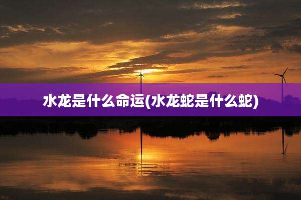 水龙是什么命运(水龙蛇是什么蛇)