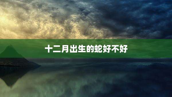 十二月出生的蛇好不好