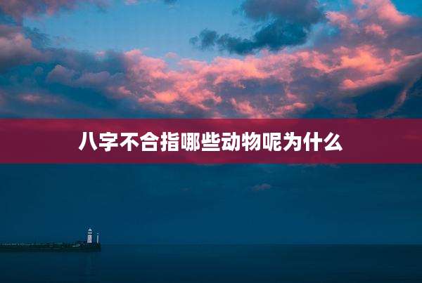 八字不合指哪些动物呢为什么