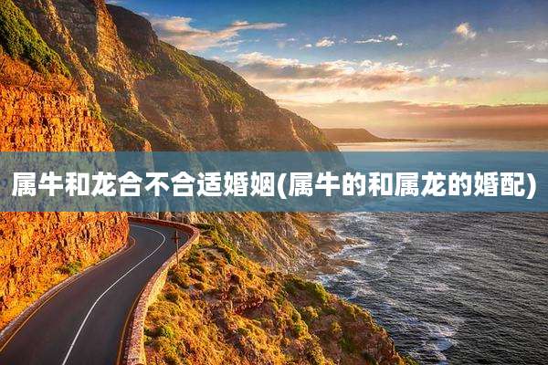 属牛和龙合不合适婚姻(属牛的和属龙的婚配)