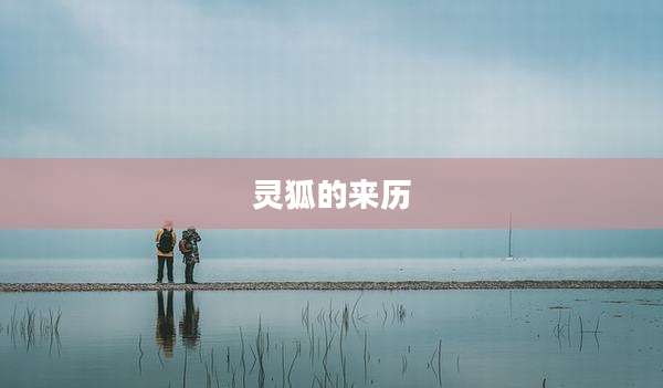 灵狐的来历