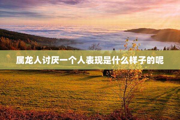 属龙人讨厌一个人表现是什么样子的呢