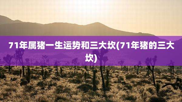 71年属猪一生运势和三大坎(71年猪的三大坎)