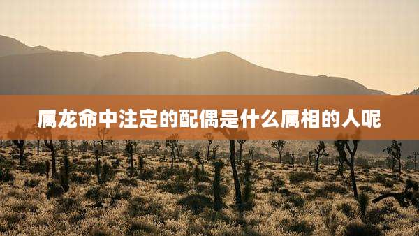 属龙命中注定的配偶是什么属相的人呢