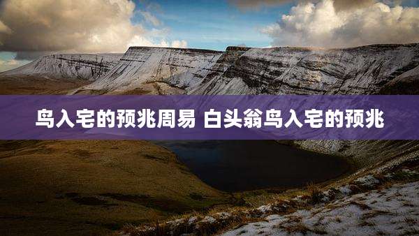 鸟入宅的预兆周易 白头翁鸟入宅的预兆