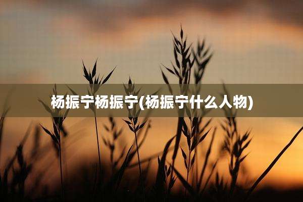 杨振宁杨振宁(杨振宁什么人物)