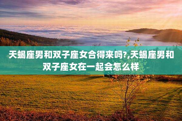 天蝎座男和双子座女合得来吗?,天蝎座男和双子座女在一起会怎么样