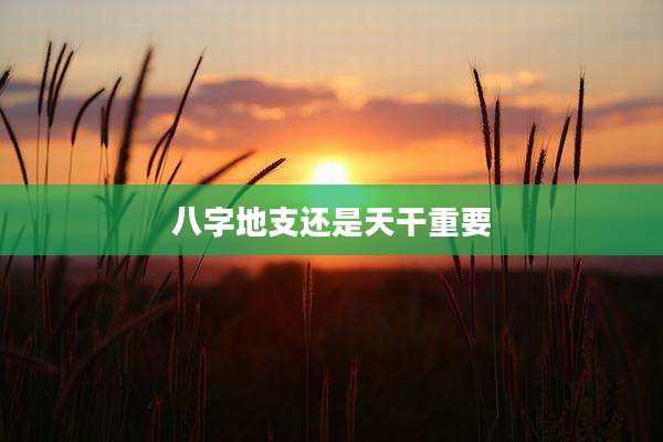 八字地支还是天干重要