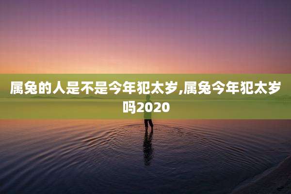 属兔的人是不是今年犯太岁,属兔今年犯太岁吗2020