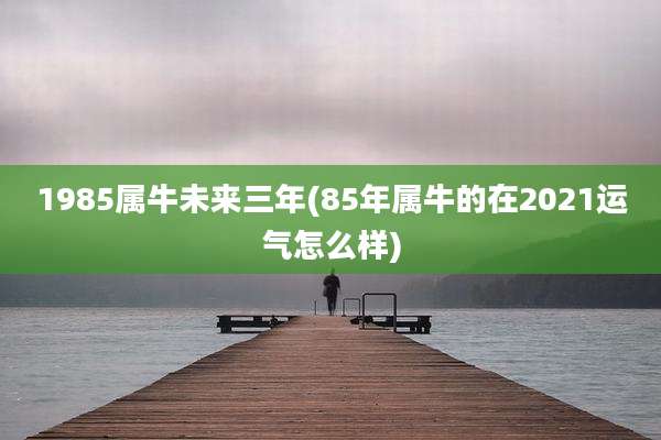 1985属牛未来三年(85年属牛的在2021运气怎么样)