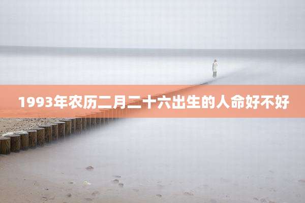 1993年农历二月二十六出生的人命好不好