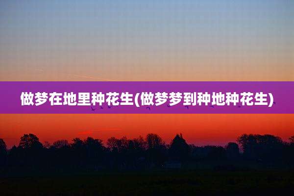 做梦在地里种花生(做梦梦到种地种花生)