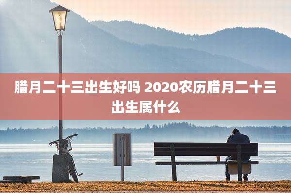 腊月二十三出生好吗 2020农历腊月二十三出生属什么