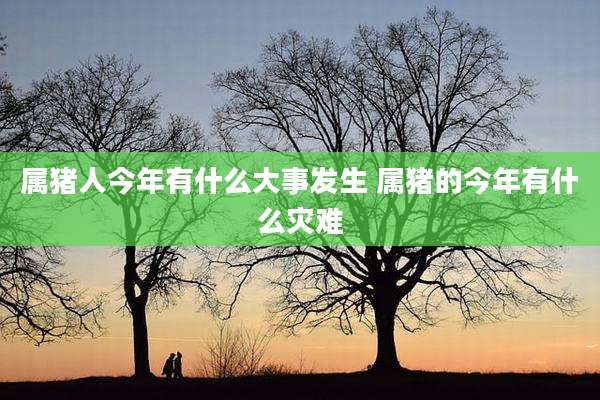 属猪人今年有什么大事发生 属猪的今年有什么灾难