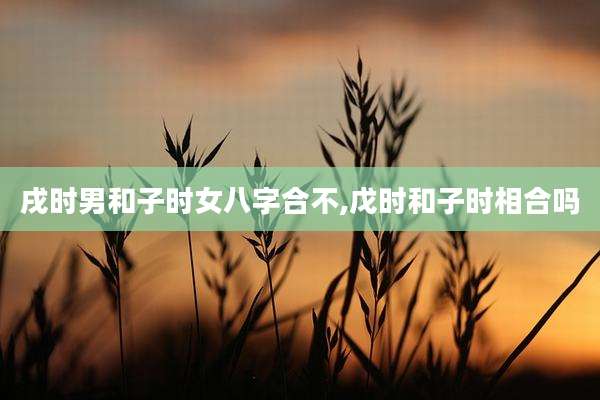 戌时男和子时女八字合不,戊时和子时相合吗