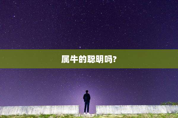 属牛的聪明吗?
