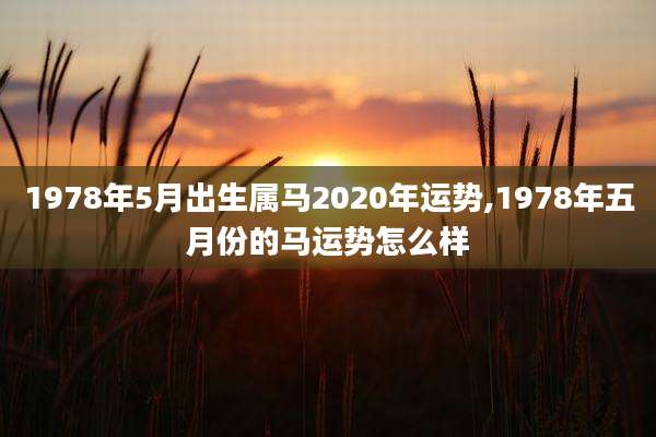 1978年5月出生属马2020年运势,1978年五月份的马运势怎么样