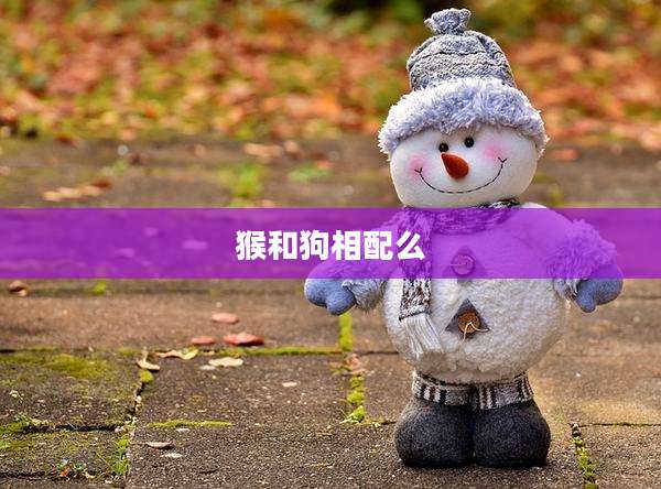猴和狗相配么