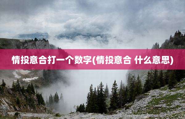 情投意合打一个数字(情投意合 什么意思)