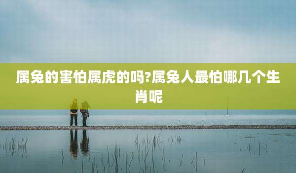 属兔的害怕属虎的吗?属兔人最怕哪几个生肖呢