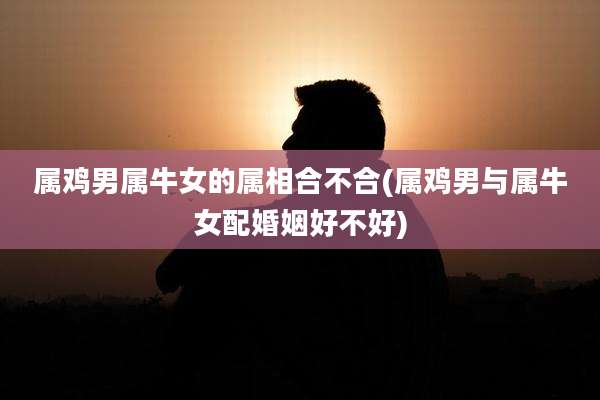 属鸡男属牛女的属相合不合(属鸡男与属牛女配婚姻好不好)