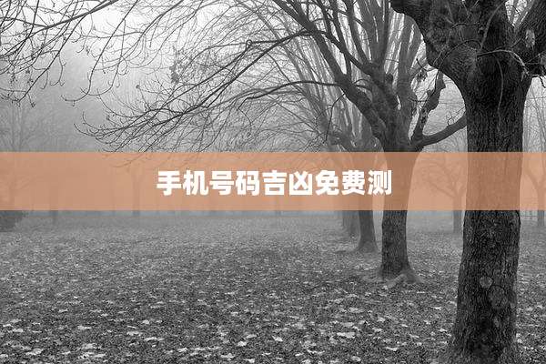 手机号码吉凶免费测