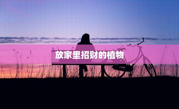 放家里招财的植物