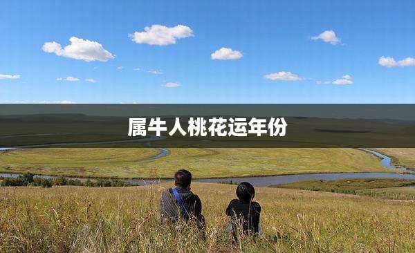 属牛人桃花运年份