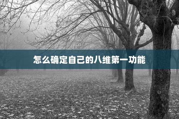 怎么确定自己的八维第一功能