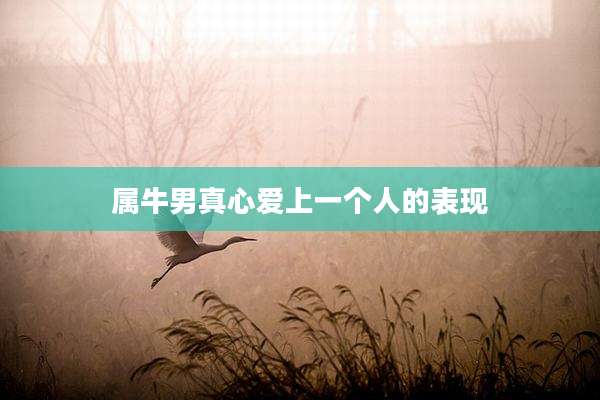 属牛男真心爱上一个人的表现