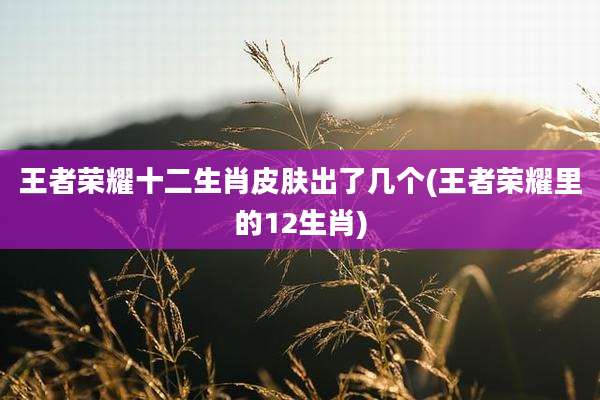 王者荣耀十二生肖皮肤出了几个(王者荣耀里的12生肖)