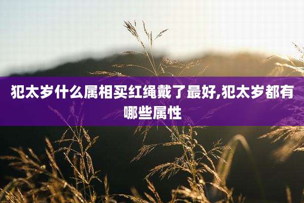 犯太岁什么属相买红绳戴了最好,犯太岁都有哪些属性