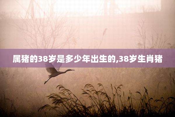 属猪的38岁是多少年出生的,38岁生肖猪