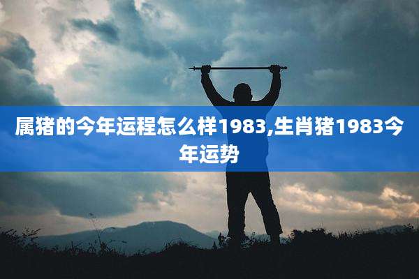 属猪的今年运程怎么样1983,生肖猪1983今年运势