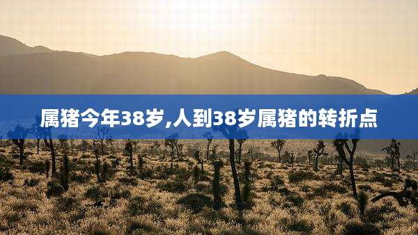 属猪今年38岁,人到38岁属猪的转折点