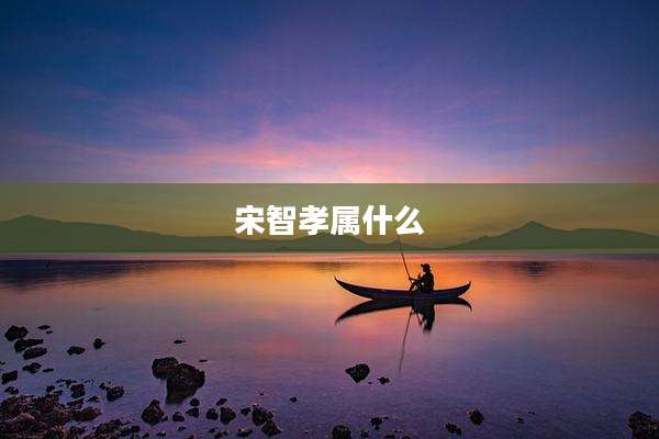 宋智孝属什么